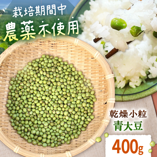 乾燥小粒青大豆(品種:黒神)400g[ekam] 大豆 [AXBV011]
