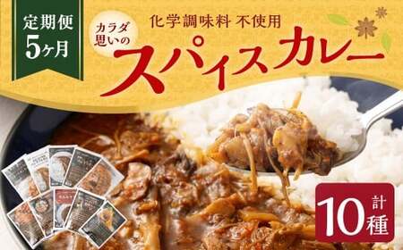 カラダ想いのスパイスカレー(2種4個×5回)毎月[5回定期便] 薬膳ビーフカリー 豚バラジンジャーカリー 薬膳ポークカリー きのこスパイスカレー スープカレーベース バターチキンカレー ベジタブル 煮込み牛すじ きのポックルカレー 舞茸とホロホロチキン薬膳カレー カレーライス 定期便 2種 4個