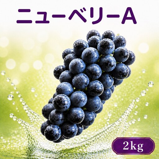 【2027年8月下旬から発送】ニューベリーＡ 2㎏  ぶどう｜ぶどう RYE