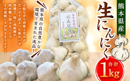 熊本県産 生にんにく 1kg [2026年11月下旬発送開始] にんにく ニンニク 生ニンニク 野菜 やさい 熊本県 常温