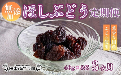 【定期便　毎月お届け3ヵ月】ほしぶどう 40g×5袋