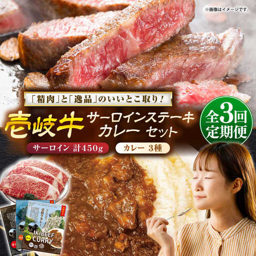 【全3回定期便】サーロインステーキ＆カレー3種 肉 和牛 [JDW116]