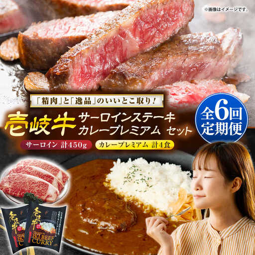 【全6回定期便】サーロインステーキ＆カレープレミアム 肉 和牛 [JDW126]