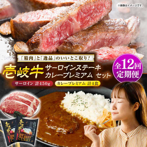 【全12回定期便】サーロインステーキ＆カレープレミアム 肉 和牛 [JDW127]