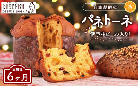 [6ヶ月定期便]自家製酵母使用のパネトーネ!! 1個入り | お菓子 おやつ