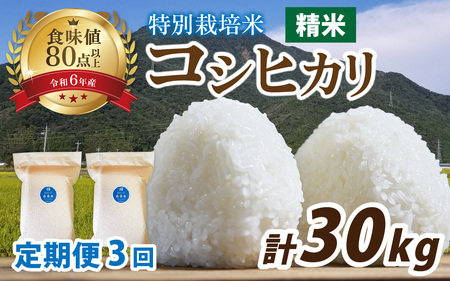 【先行予約】【3ヶ月連続お届け】【令和8年産 新米】南条米 特別栽培米コシヒカリ 真空パック 精米 10kg(5kg×2袋)×3ヶ月 (計30kg)[G-011001] 福井 ブランド米