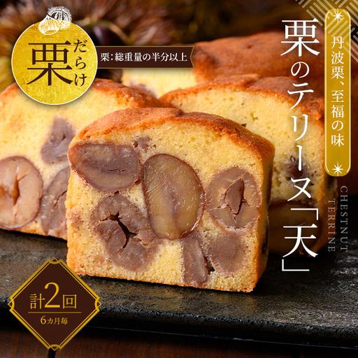 栗 テリーヌ「天」 1本 定期便 全2回 6ヶ月に1回 スイーツ お取り寄せ 足立音衛門