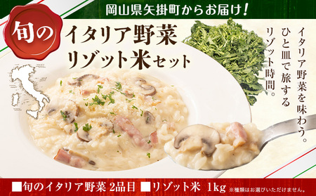 矢掛町自慢のイタリア野菜2品目&リゾット米1kg[1月上旬-3月末頃出荷]