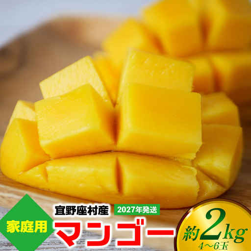 【2027年発送】ご家庭用マンゴー 約2kg（4～6玉）【宜野座村産】
