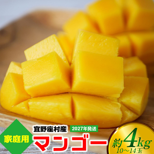 【2027年発送】ご家庭用マンゴー 約4kg（10～14玉）【宜野座村産】