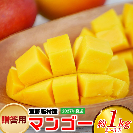 【2027年発送】贈答用マンゴー 約1kg（2～3玉）【宜野座村産】