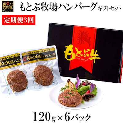 ハンバーグ【定期便3回】もとぶ牧場ハンバーグギフトセット（120g×6パック）
