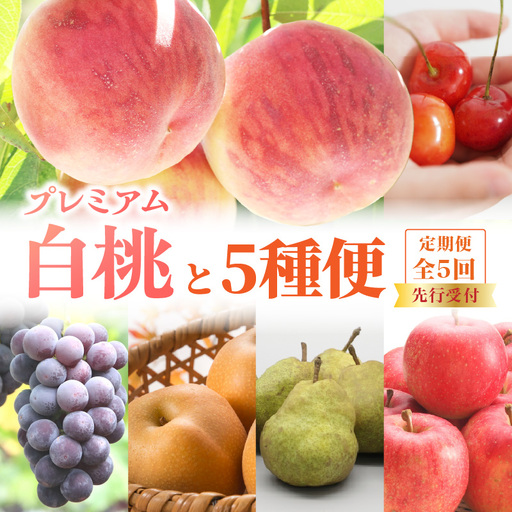 [先行受付]プレミアム白桃と5種便[定期便全5回]
