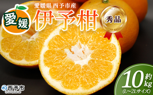 ＜秀品 伊予柑 (L～2Lサイズ) 約10kg＞蜜柑 ミカン みかん 果物 フルーツ 柑橘 いよかん 宮内伊予柑 西宇和 果汁 ジューシー 果肉 国産 愛媛県産 西予市産 ギフト 贈答用 特産品 丸二青果 愛媛県 西予市【常温】『2026年1月～3月に順次出荷予定』MMY0012