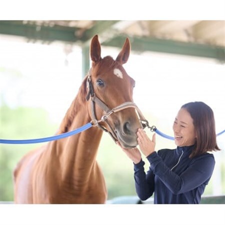 乗馬体験 (30分) 10回スキルUPコースご利用券(別途装具レンタル・保険料必要)【1703900】