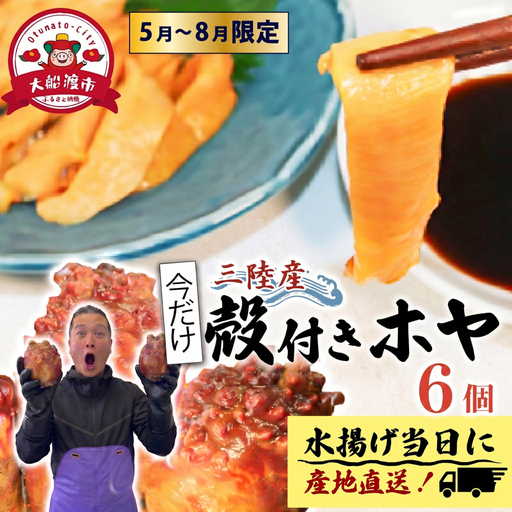 【でっかい！！】 ホヤ専門業者！ 殻付きホヤ 6個