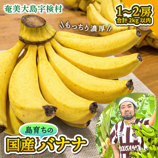 【先行予約】完熟 三尺 バナナ 〈4月より順次発送〉完熟バナナ 国産 フルーツ 果物 奄美大島 宇検村 家庭用 贈答 数量限定 プリン専門店 che