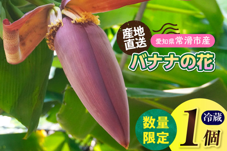 バナナの花 1個(300g以上) | バナナ ばなな 花 果物 フルーツ バナナハート 貴重 南国 産地直送 常滑市産 愛知県産 国内産 健康 就労支援 農業 アスナロファーム 愛知県 常滑市