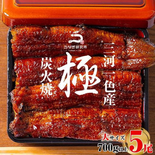 【期間限定】三河一色産うなぎ 蒲焼大5尾(計700g以上) 国産 鰻 愛知・R043-35