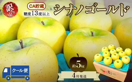 りんご[4月クール便発送]平均糖度13度以上 訳あり品 家庭用 CA貯蔵 シナノゴールド 約5kg[青森りんご 果物 フルーツ デザート 食後 青森県産 産地直送 贈り物]