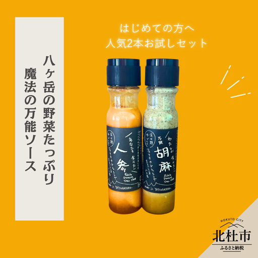 はじめてのフェリチタ（2本）　ドレッシング 調味料  詰め合わせ セット 200ml×2本 人参ドレッシング 胡麻ドレッシング 野菜 サラダ 温野菜 肉料理 たれ 食べ比べ 手づくり 八ヶ岳 栽培期間中農薬不使用 化学調味料不使用 保存料不使用 着色料不使用  [h097]