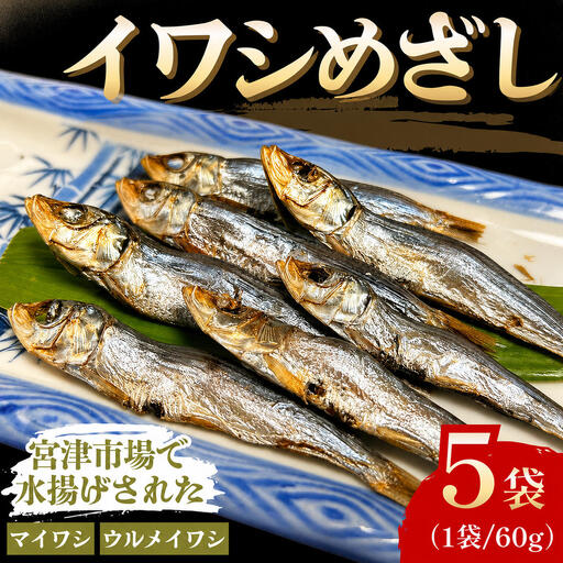 いわし めざし 60g×5袋  マイワシ ウルメイワシ いわし