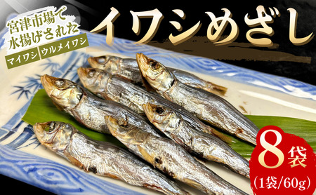 いわしめざし 60g× 8袋  マイワシ ウルメイワシ いわし