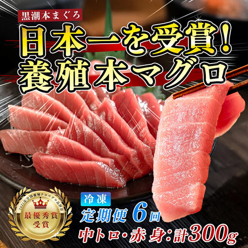 訳あり 不定貫 まぐろ マグロ 本鮪 黒潮本まぐろ 中トロ 赤身 定期便 6回 計300g × 6回 刺身 柵 冷凍 (PT0080_0615)