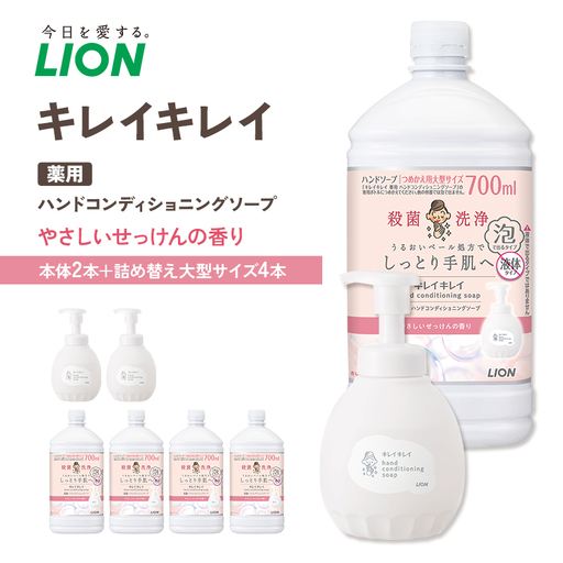 ハンドソープ 泡 キレイキレイ 薬用 LION ハンドソープ【本体450ml×2 詰替700ml×4】