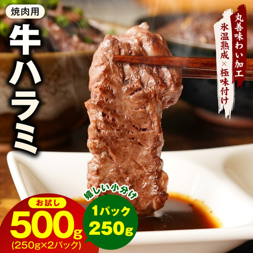 【お試し】牛肉 ハラミ 500g（250g×2P）