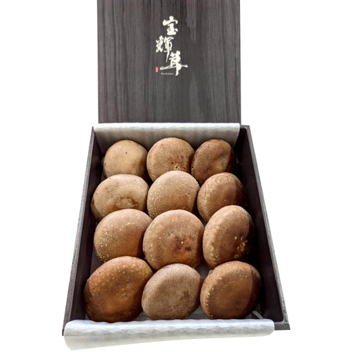 こだわり極めたしいたけ「宝輝茸」【しいたけ シイタケ 椎茸 ブランド オーガニック 極上 菌床 宝輝茸 shiitake 鳥取県 日吉津村】