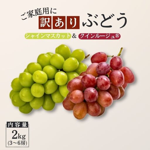 [家庭用] ぶどう2種セット (シャインマスカット/クイーンルージュ®) 約2kg / 2026年9月下旬〜10月頃 配送予定 // 長野県 南信州 種なし 皮ごと 食べ比べ 詰め合わせ お試し 訳あり お取り寄せ シャイン マスカット ルージュ クイーン 新鮮 希少