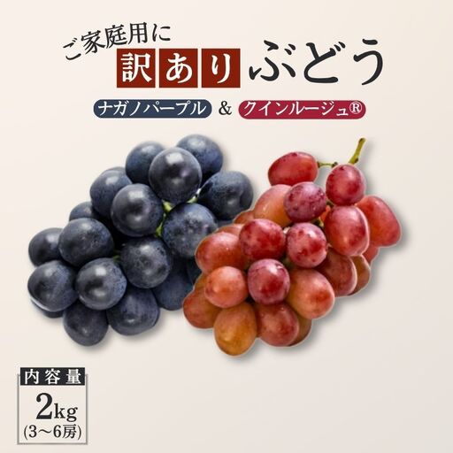 TK37【家庭用】 ぶどう2種セット （ナガノパープル・クイーンルージュ®） 約2kg ／ 2026年9月中旬～10月中旬頃 配送予定 // 長野県 南信州 種なし 葡萄 セット ナガノパープル クイーンルージュ お試し 訳あり お取り寄せ 詰め合わせ