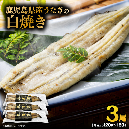 【 土用の丑の日特集 】 鹿児島県産 うなぎ の 白焼き 3尾 KN174-002-03 ウナギ 鰻 冷凍