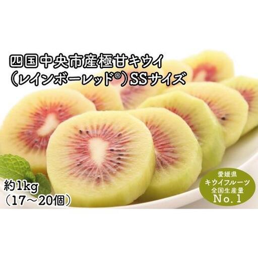 [ぽぽ農園]レインボーレッドキウイ(四国中央市産レインボーレッド) SS サイズ 約1kg(17個〜20個)