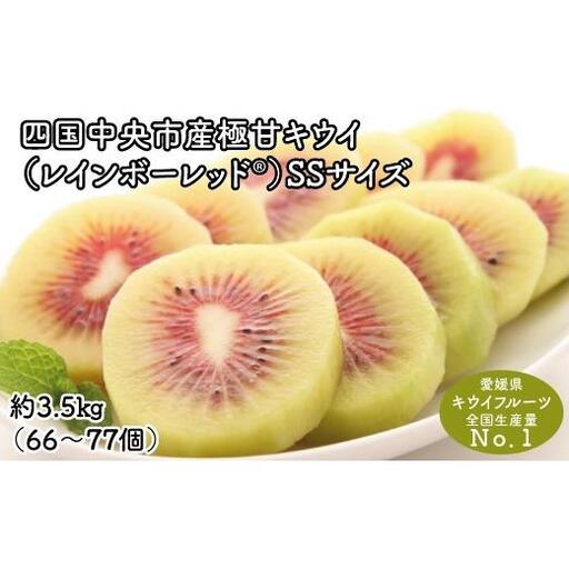 【ぽぽ農園】レインボーレッドキウイ（四国中央市産レインボーレッド） SS サイズ 約3.5kg（66個～77個）