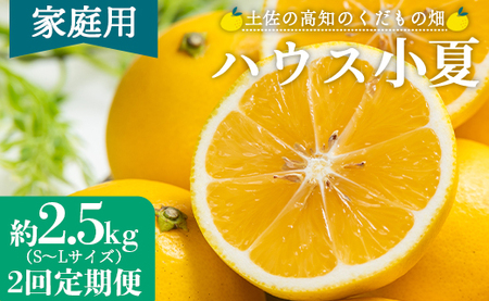 [2027年出荷分][2回定期便]土佐の高知のくだもの畑 ハウス小夏2.5kg(家庭用) 高知 土佐 こなつ 果物 フルーツ くだもの畑 [先行予約] - 家庭用 訳あり 小夏 ハウス ミカン みかん 蜜柑 柑橘 果物 フルーツ こなつ し対応可 熨斗 国産 Wkd-0033