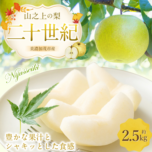 《先行予約》 「山之上果実農業協同組合」 山之上の梨 二十世紀 1箱 約 2.5kg 【2026年9月上旬-10月上旬 発送予定】