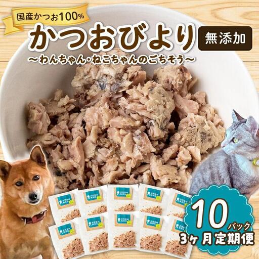 定期便 3ヶ月 かつお ペットフード 30g ✕ 10パック 