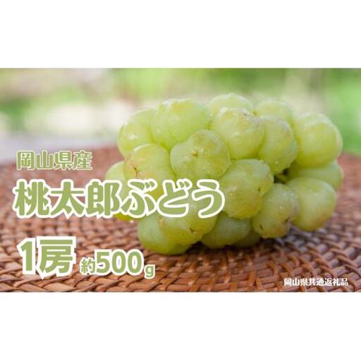 桃太郎ぶどう 1房 約500g 【先行予約 2026年8月下旬から順次発送】
