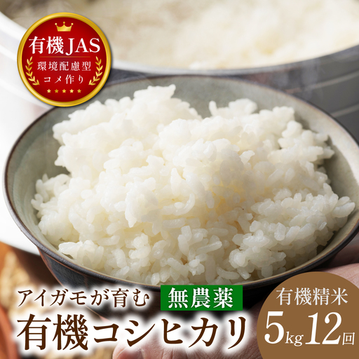 〈8年産予約〉【定期便】有機米 無農薬 コシヒカリ 精米 ( 5kg×12回 計30kg ） 有機米