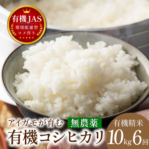 〈8年産予約〉【定期便】有機米 無農薬 コシヒカリ 精米 ( 10kg×6回 計30kg ） 有機米
