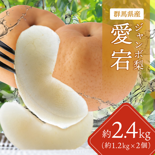 【先行予約】群馬県産ジャンボ梨「愛宕」2個(1個あたり約1.2～1.3Kg)【11月中旬～12月下旬発送予定】 ANAH002