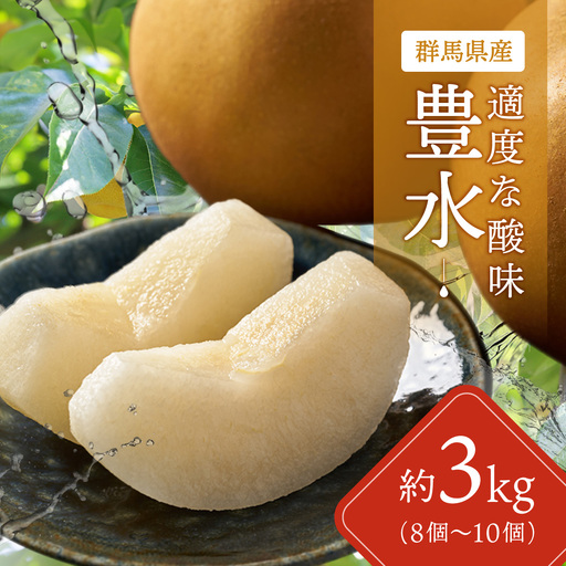 【先行予約】群馬県産梨「豊水」約3kg(8～10個)【9月上旬～9月中旬発送予定】ANAH005