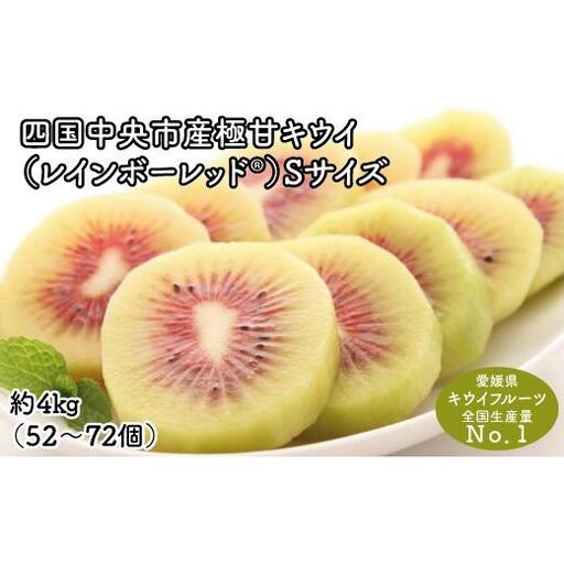 【ぽぽ農園】レインボーレッドキウイ（四国中央市産レインボーレッド） S サイズ 約4kg（52個～72個）