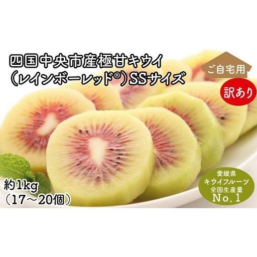 [ぽぽ農園][訳あり・ご自宅用]レインボーレッドキウイ(四国中央市産レインボーレッド) SS サイズ 約1kg(17個〜20個)