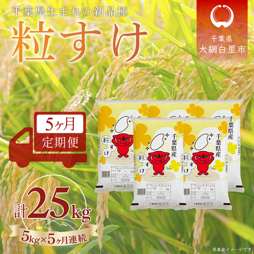 ＜5か月定期便＞ 千葉県産「粒すけ」精米 5kg×5か月連続 計25kg A084