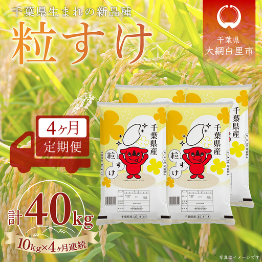 ＜4か月定期便＞ 千葉県産「粒すけ」精米 10kg×4か月連続 計40kg A087