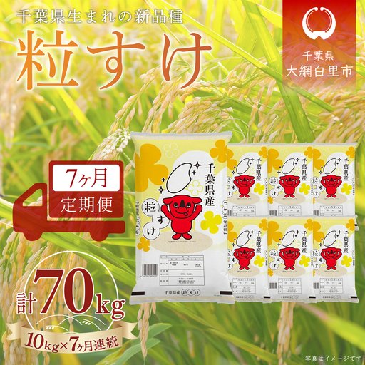 ＜7か月定期便＞ 千葉県産「粒すけ」精米 10kg×7か月連続 計70kg A089