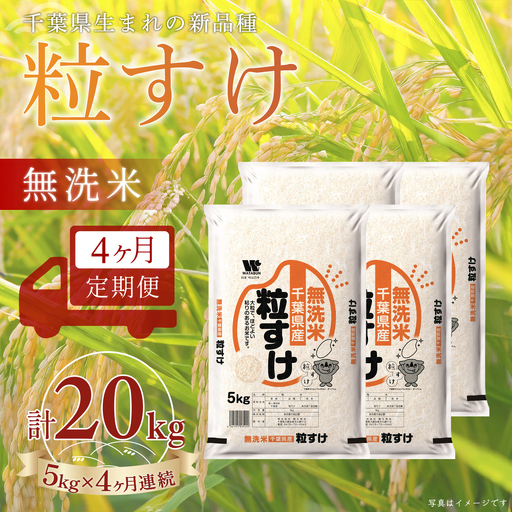 ＜4か月定期便＞ 千葉県産「粒すけ」無洗米 5kg×4か月連続 計20kg A092